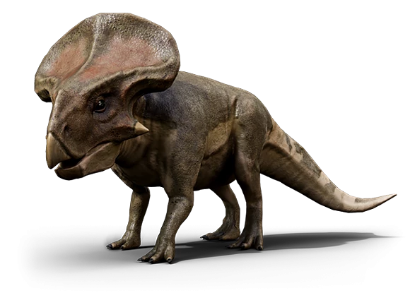 a 3D model of a triceratops