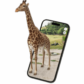 id-giraffe