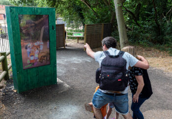 roarr-dinosaur-park-05