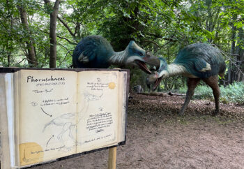 roarr-dinosaur-park-09