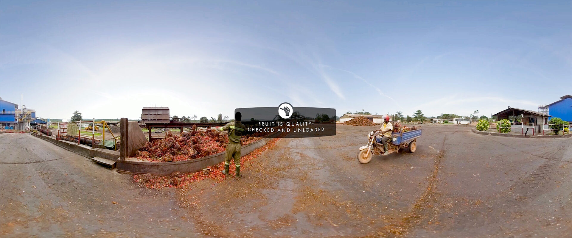 the-forest-trust-virtual-rurality-06