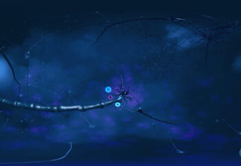 roche-virtual-myelin-06