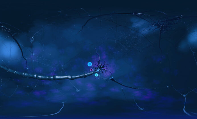 roche-virtual-myelin-06