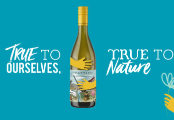 bibendum-wine-plonk-app-04