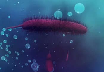 paxvax-under-the-surface-14